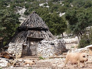 Cuile Buchi Arta
