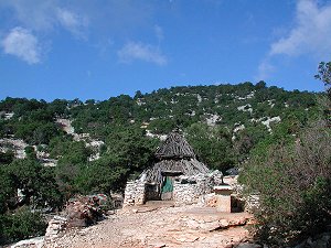 Cuile Buchi Arta