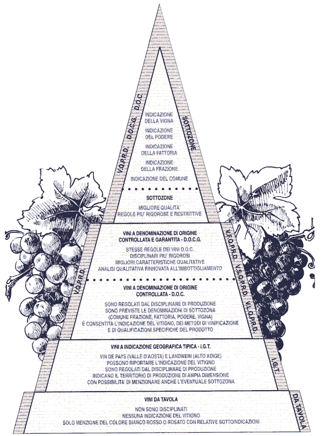 piramide.gif (372759 byte)