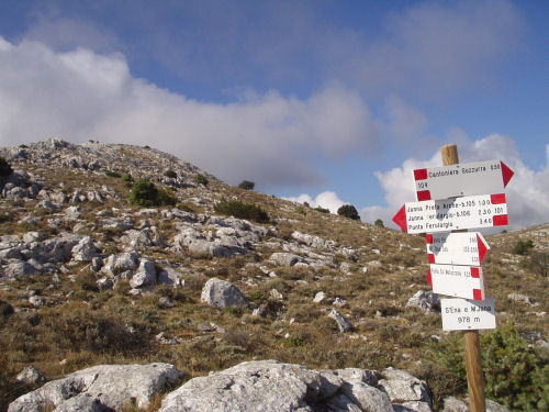 Punta Mutrucone
