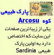 far_arcosu.jpg (12288 byte)