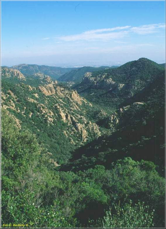 p17.jpg (56604 bytes)