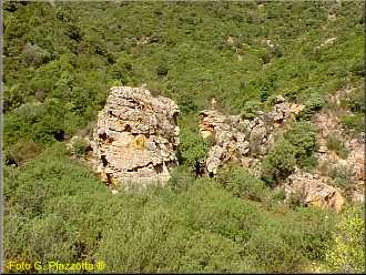 porteddu.jpg (37516 byte)