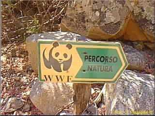 cartello-wwf.jpg (21584 byte)
